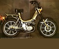 Mcb 1255 GOLDEN CHAMP (SACHS BKFS) parts