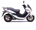 Suzuki EPICURO 125 onderdelen