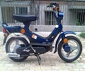 vespa - grillo