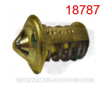Derbi Senda 50cc Thermostat 00-05